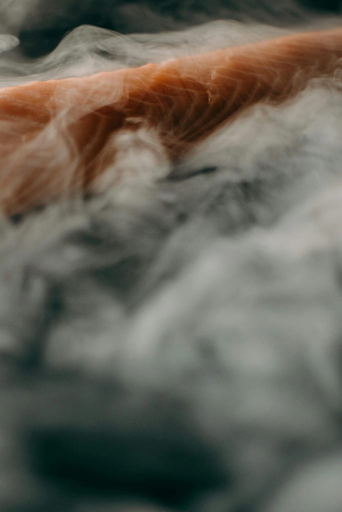 Smoked Salmon Internal Temp Guide for Safe Cooking